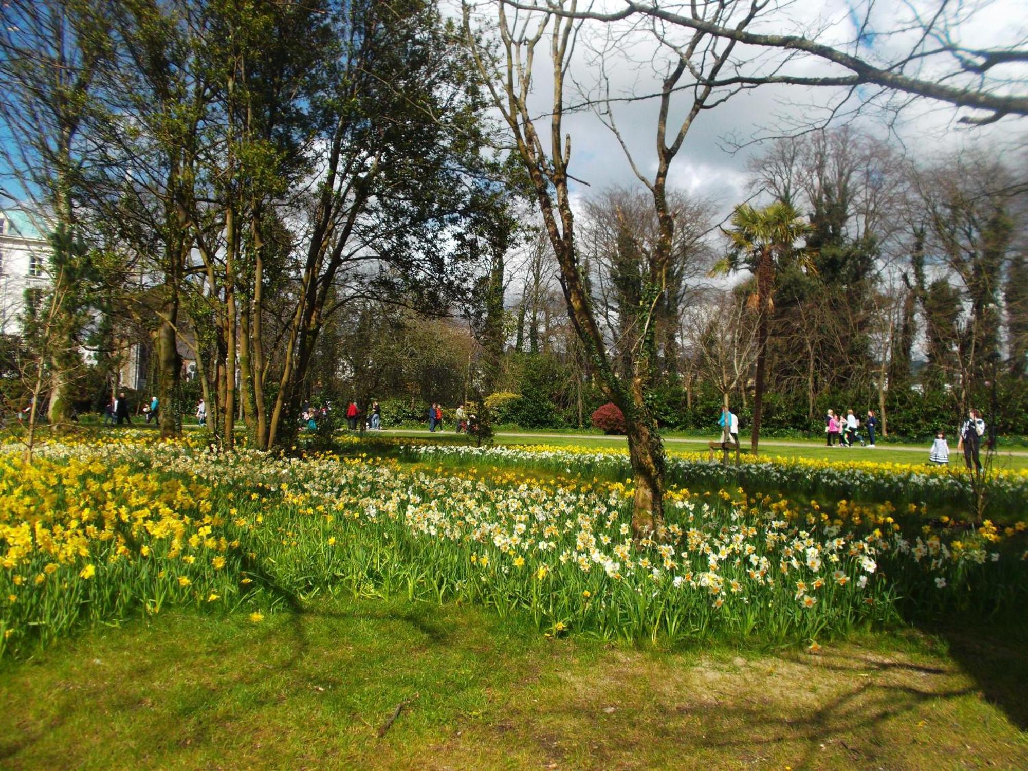 Kerry Holiday Homes At The Killarney Holiday Village Eksteriør billede